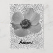   Anemone Briefkaart (Voorkant)