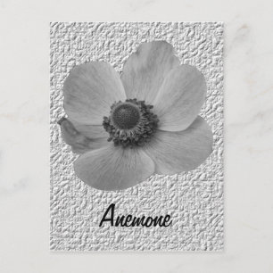   Anemone Briefkaart