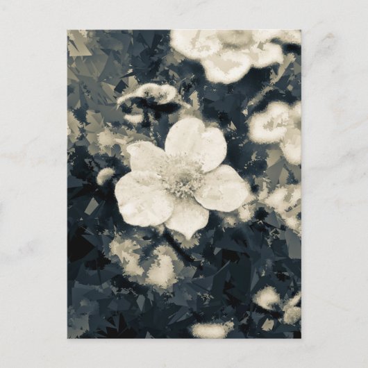 Anemone Briefkaart (Voorkant)