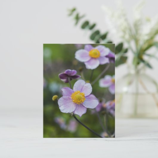 Anemone Briefkaart (Staand voorkant)