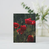 Anemone Briefkaart (Staand voorkant)