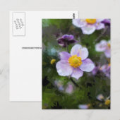Anemone Briefkaart (Voorkant / Achterkant)