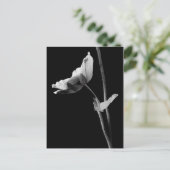 Anemone Briefkaart B&W (Staand voorkant)