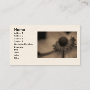  Anemone Business- & Profile-kaarten Visitekaartje