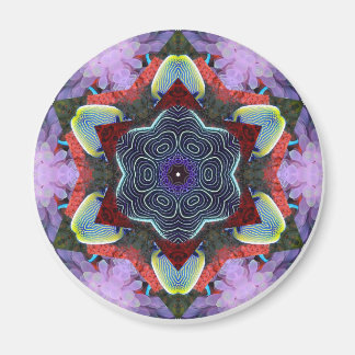 Anemone City Magneet