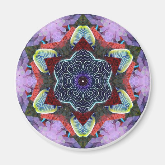 Anemone City Magneet (Voorkant)