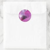 Anemone Closeup Stickers (Tas)