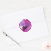 Anemone Closeup Stickers (Envelop)