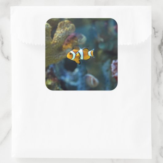 Anemone Fish Vierkante Sticker (Tas)