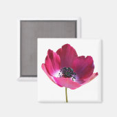 Anemone Flower Magnet (Voorkant / Achterkant)