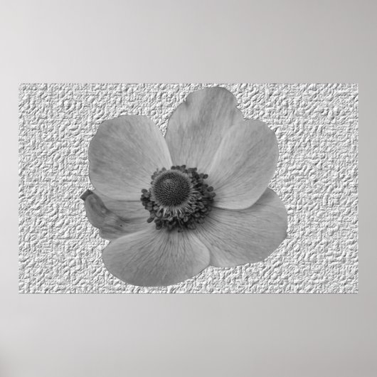  Anemone Flower Print (Voorkant)