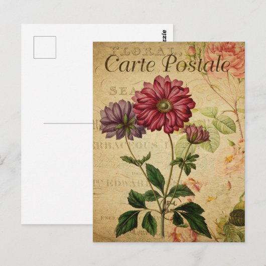  Anemone Japonica Floral Flowers Franse Briefkaart (Voorkant / Achterkant)