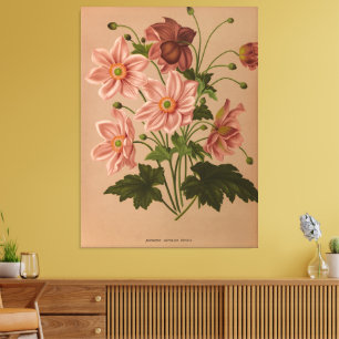 Anemone Japonica Rosea Exquisite  Botanical Canvas Afdruk