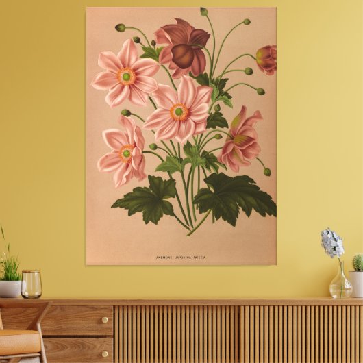 Anemone Japonica Rosea Exquisite  Botanical Canvas Afdruk (Insitu (Woonkamer))