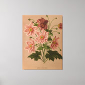 Anemone Japonica Rosea Exquisite  Botanical Canvas Afdruk (Voorkant)