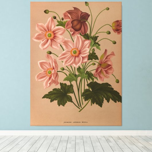 Anemone Japonica Rosea Exquisite  Botanical Canvas Afdruk (Insitu (Houten vloer))
