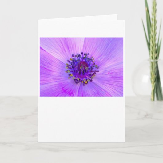 Anemone, kaart (Voorkant)