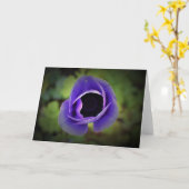 Anemone, kaart (Gele Bloem)