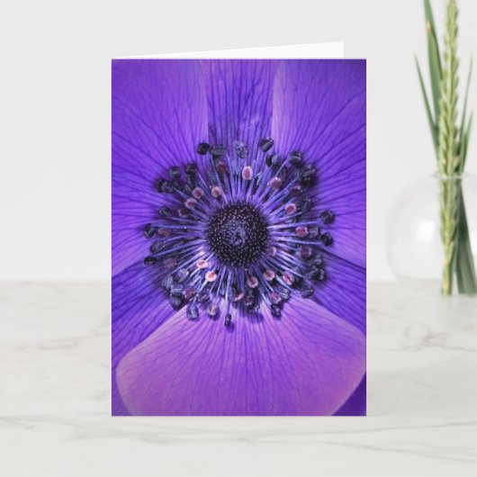 Anemone, kaart (Voorkant)