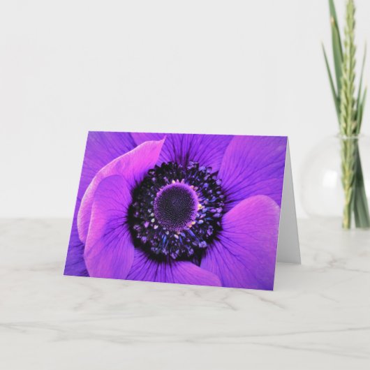 Anemone, kaart (Voorkant)