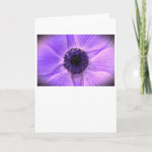 Anemone, kaart (Voorkant)