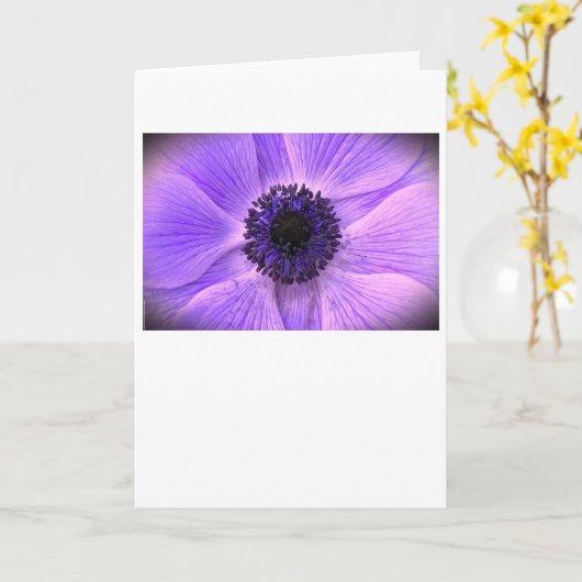 Anemone, kaart (Gele Bloem)