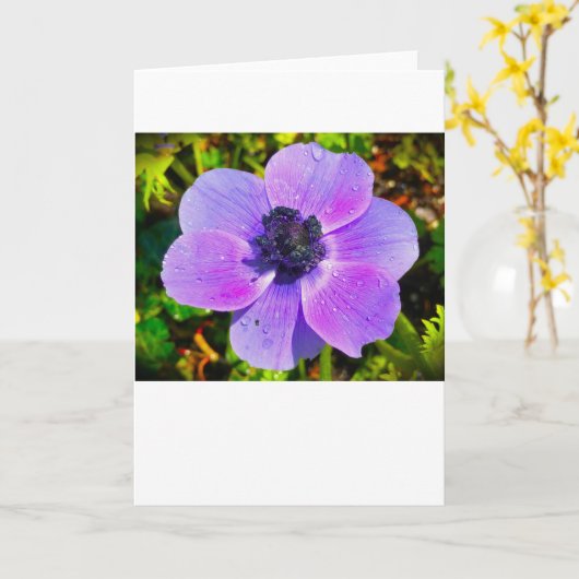 Anemone, kaart (Gele Bloem)