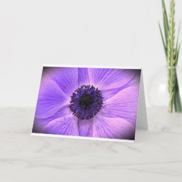 Anemone, kaart