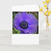 Anemone, kaart (Gele Bloem)