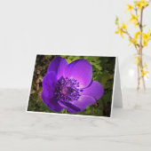 Anemone, kaart (Gele Bloem)