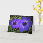 Anemone, kaart (Gele Bloem)
