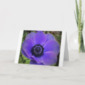 Anemone, kaart (Voorkant)