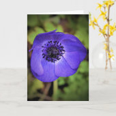 Anemone, kaart (Gele Bloem)