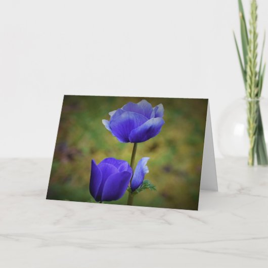 Anemone, kaart (Voorkant)