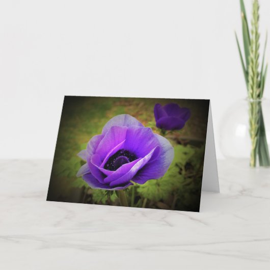 Anemone, kaart (Voorkant)