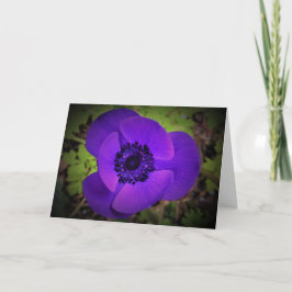 Anemone, kaart