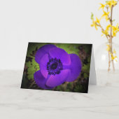 Anemone, kaart (Gele Bloem)