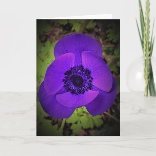 Anemone, kaart (Voorkant)
