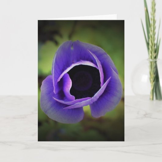 Anemone, kaart (Voorkant)