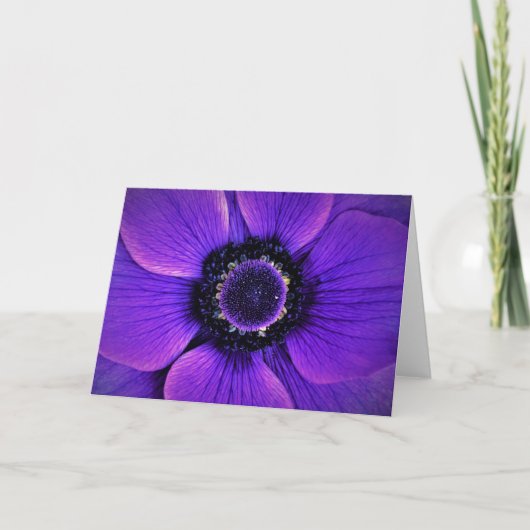 Anemone, kaart (Voorkant)