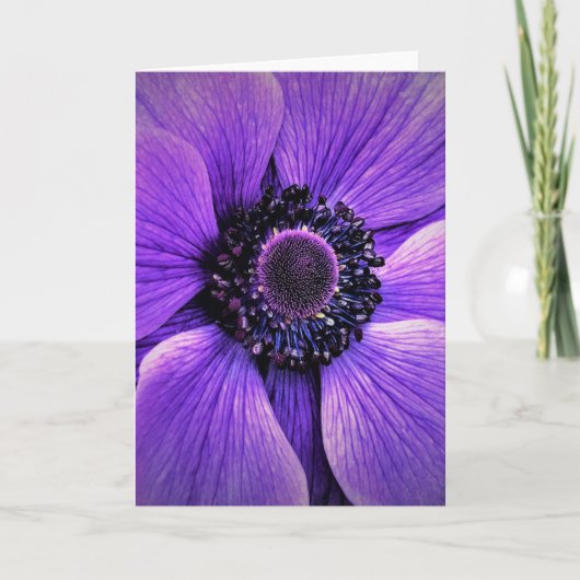 Anemone, kaart (Voorkant)