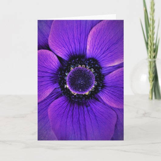 Anemone, kaart (Voorkant)