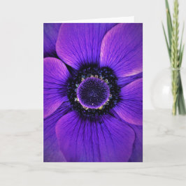 Anemone, kaart