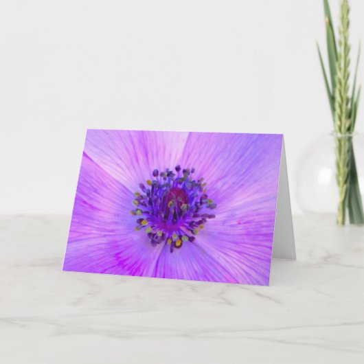 Anemone, kaart (Voorkant)