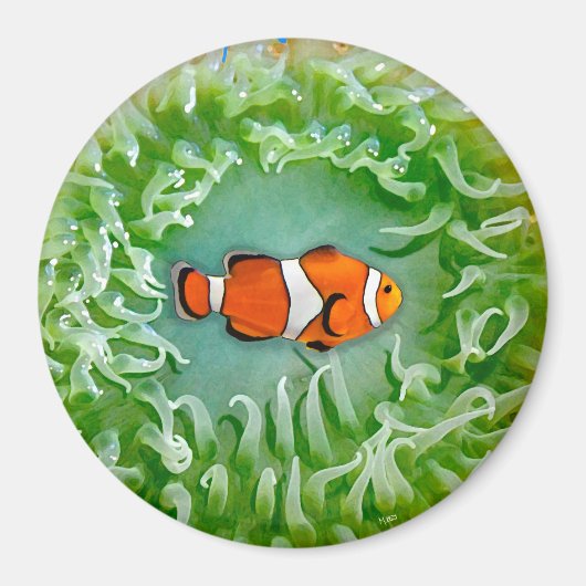 Anemone Magnet (Voorkant)