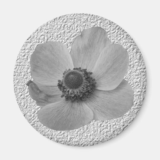 Anemone Magnet (Voorkant)