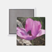 Anemone Magnet (Voorkant / Achterkant)