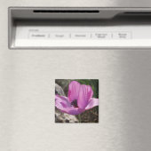 Anemone Magnet (Insitu (Vaatwasser))