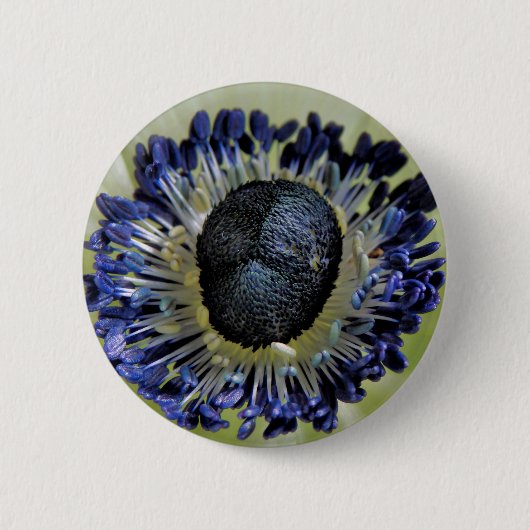 Anemone Mistral Panda Badge Ronde Button 5,7 Cm (Voorkant)