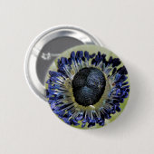 Anemone Mistral Panda Badge Ronde Button 5,7 Cm (Voorkant /achterkant)